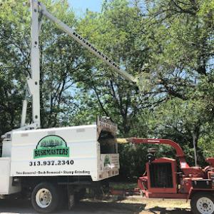 Bushmasters Tree Care