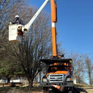 Vazquez Tree Service