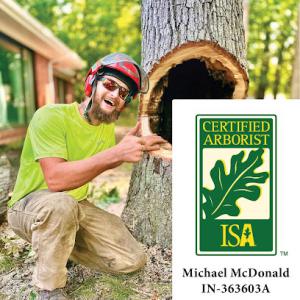 OnSite Tree Services