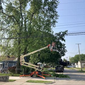 Yourway tree service
