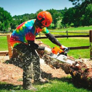 Barrios Professional Tree Service