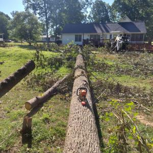 Cothren Construction Tree & Land Management