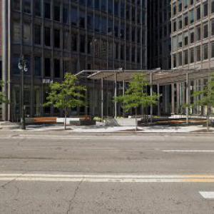 Tree Removal Detroit