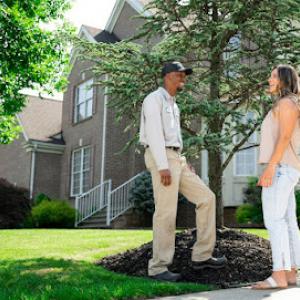 Green Lawn Fertilizing