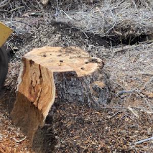 Unstumpable services