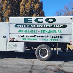 ECO Tree service