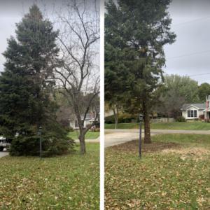 Griffis Tree & Lawn - Tree Service Council Bluffs