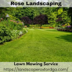 Rose Landscaping