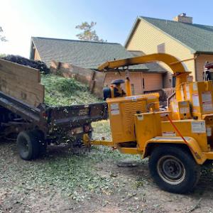 El Errante Tree & Landscaping Service