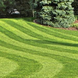 GARCIA’S TREE SERVICE & LAWN CARE