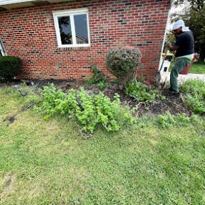 Creative Property lawn & landscaping