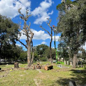 Grand Oaks Property Maintenance