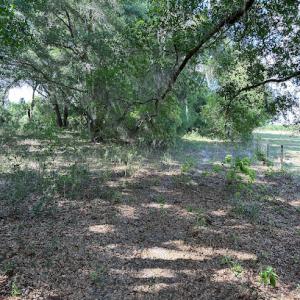 Rawdirt Land Services Land Clearing, Forestry Mulching