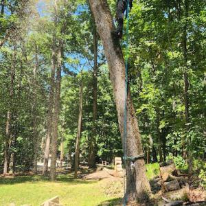 Grist Arbor Services