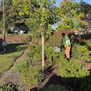 Artistic Tree & Landscape Creations