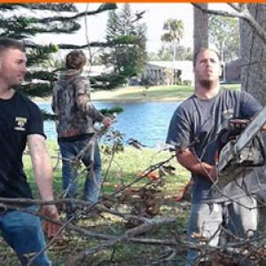 Above & Beyond Tree Care