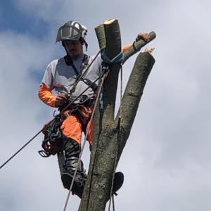 JJ Tree Service
