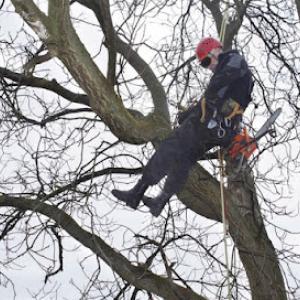 GB Tree Service