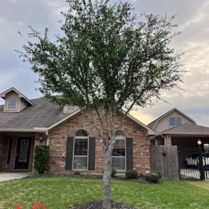 Fresh Cuts Tree Services