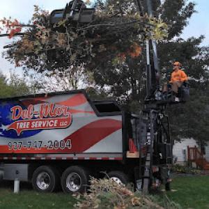 Del-Mar Tree Service