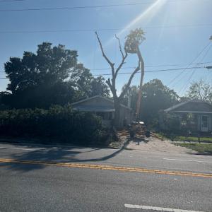 Irish Brothers Tree Service