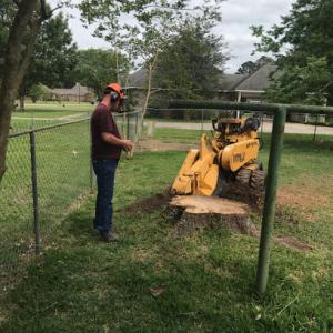 Already Done Stump Grinding