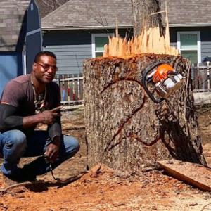 Tree2TreeLC