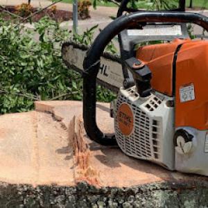 Sanchez Tree Service