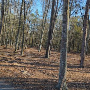 Southeast Brush Control