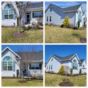 Top Notch Tree Service