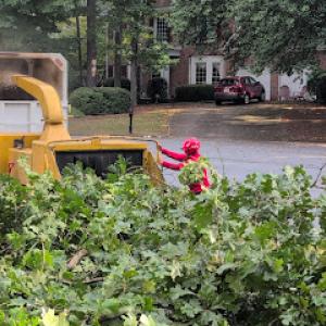 Naz Tree Service