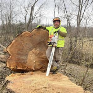 Bishop Tree Service & Landscaping