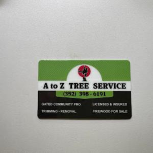 A to Z Tree Service of citrus county fl