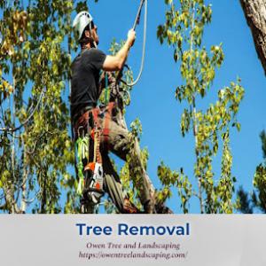 Owen Tree & Landscaping