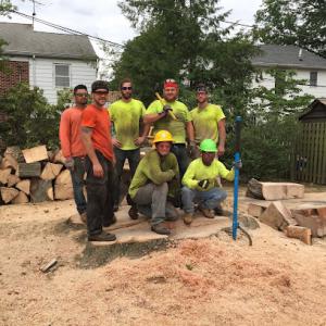E&R Tree Service