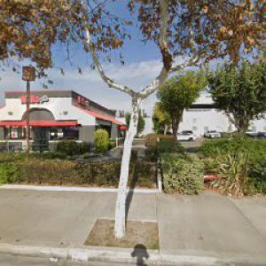 CanopyQuest Tree Care