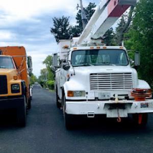 All Seasons Tree Service