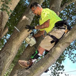 Nick & Tee Tee Tree Service