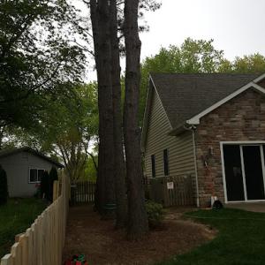 Tree Experts of Maryland
