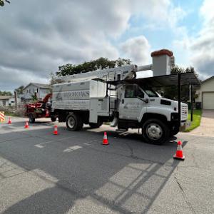 Arbor Oaks Tree Service