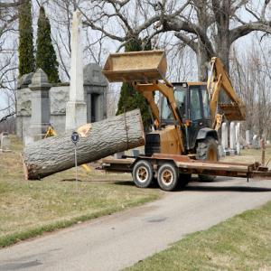 Greenline Tree Service