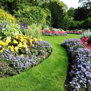 A Cut Above Lawn & Tree Service