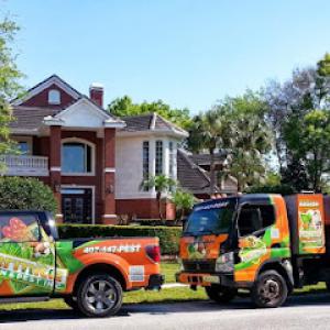 Termite Lawn & Pest