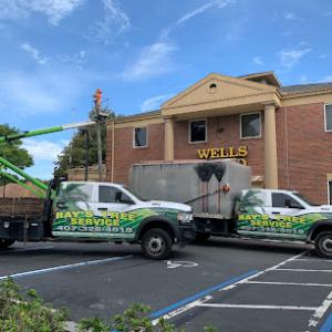 Ray's Tree Service