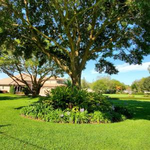 JP Landscaping Management