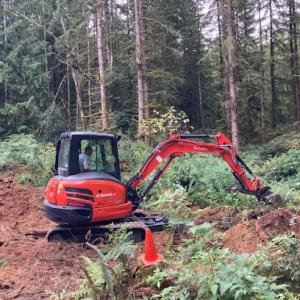 King Stump Grinding & Tree Removal