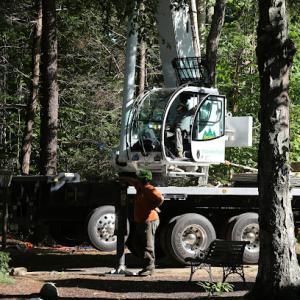 Knowles Tree Services