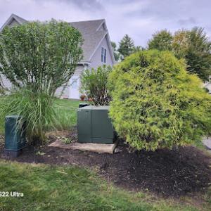 Bosley Tree & Shrub Care