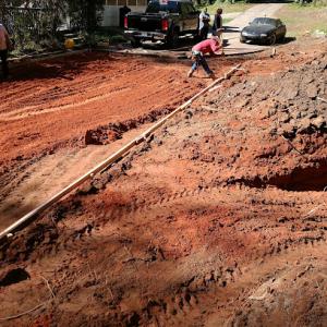 Smiley Tree Services