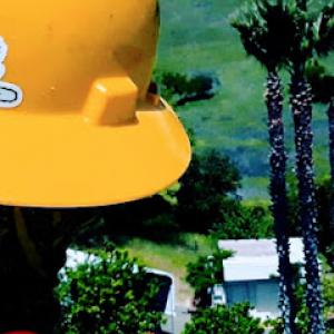 Bay to Sac Tree Services